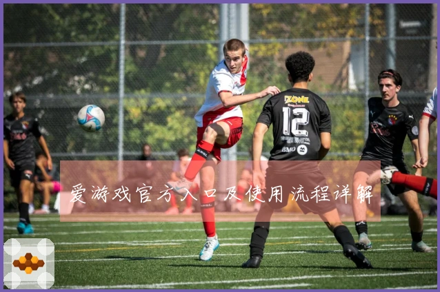爱游戏官方入口及使用流程详解